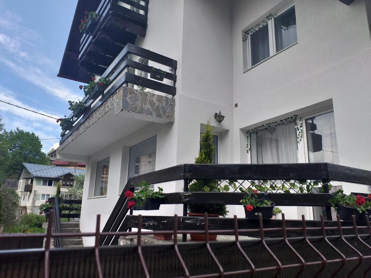 Miraj Hotel Azuga Exterior photo